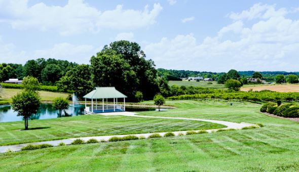 Dennis Vinyards